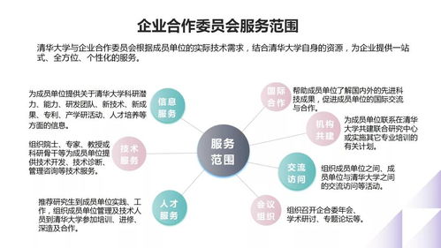 清华大学的产学研合作模式 以信息技术咨询服务为例